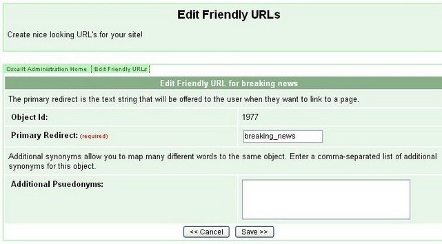 Fig 5.4: Friendly URLs: Edit Redirect Sub-Page